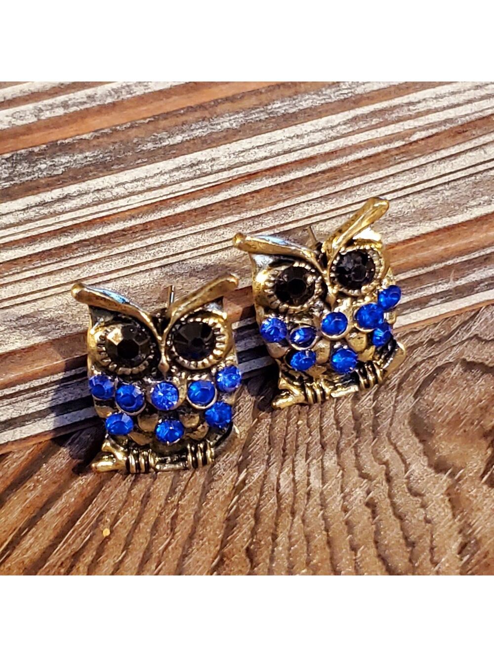 Surprised Owl Earrings Blue